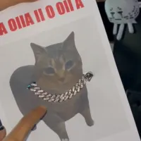 Pow