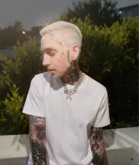 blackbear