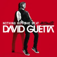 Nothing but the Beat – David Guetta