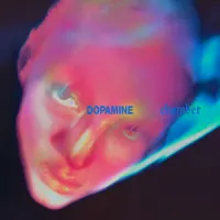 Dopamine Chamber – Fontaines D.C.