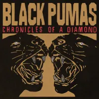 Chronicles of a Diamond – Black Pumas