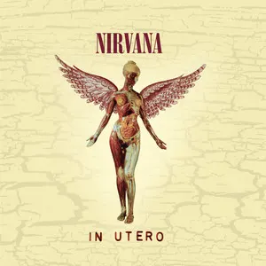 Pochette de l’album In Utero