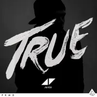 True – Avicii