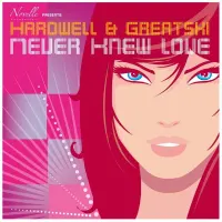Hardwell & Greatski