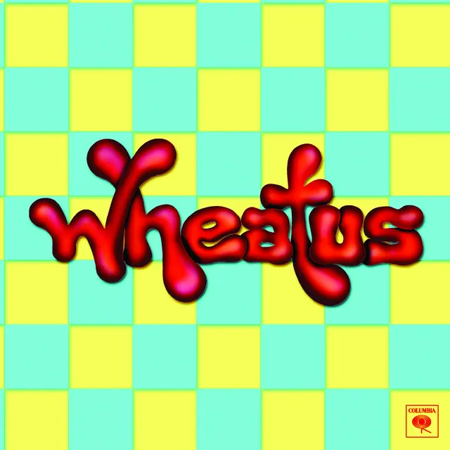 Hoes van Teenage Dirtbag
