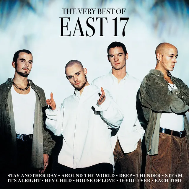 Cover of If You Ever