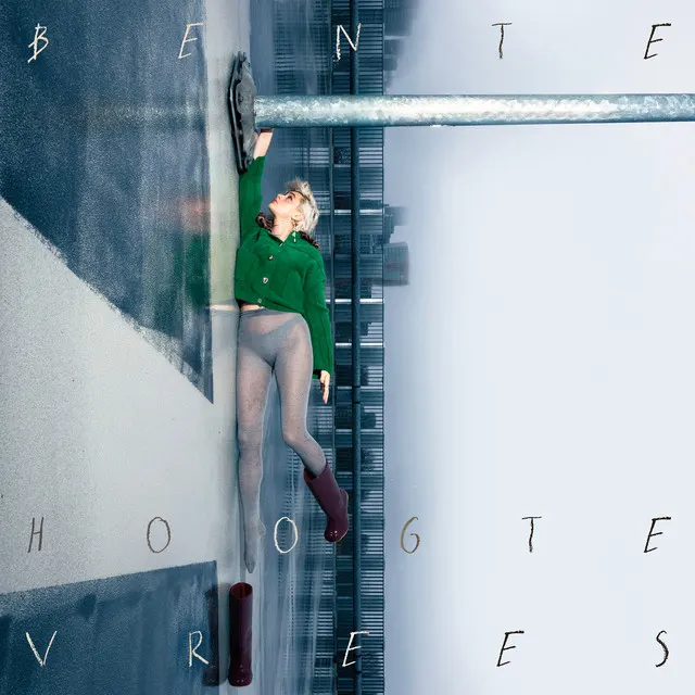 Cover of Hoogtevrees