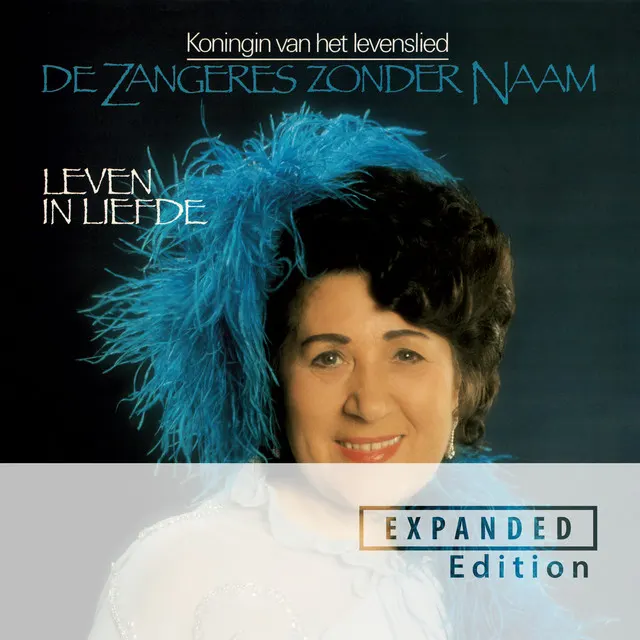Cover of Rock Around The Clock