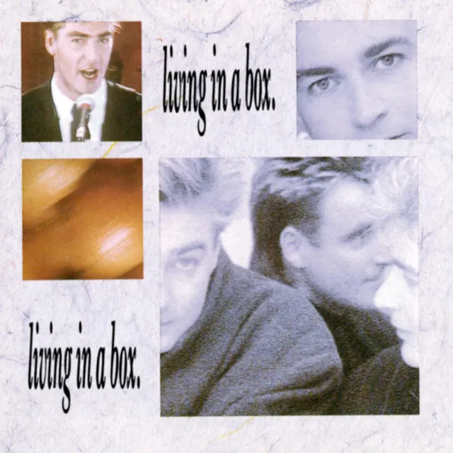 Cover of Living in a Box