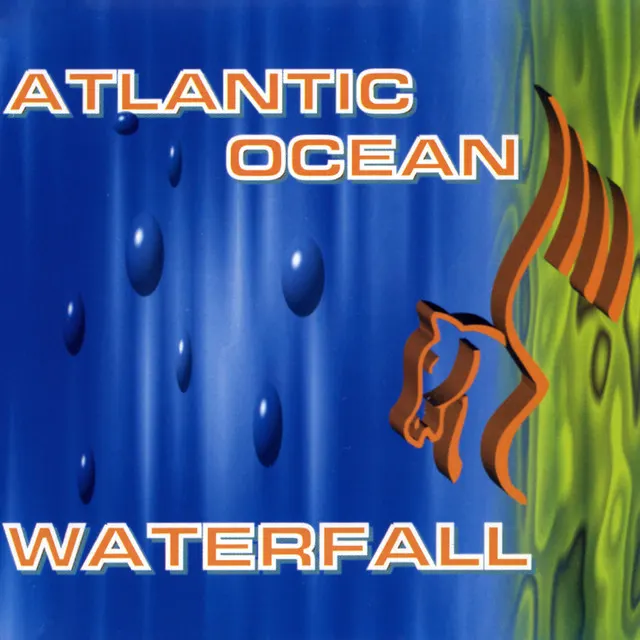 Cover of Waterfall 2009