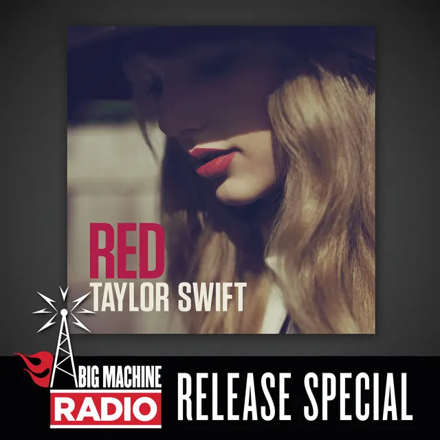 Cover of I Knew You Were Trouble.