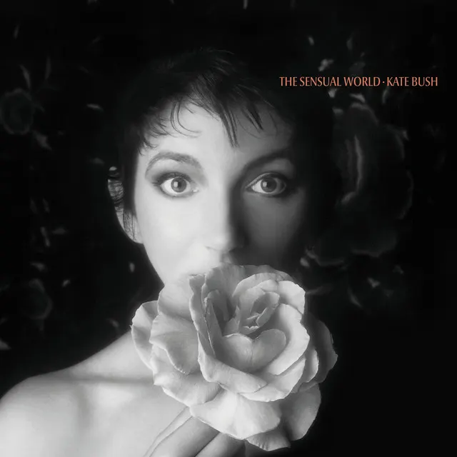 Cover of The Sensual World