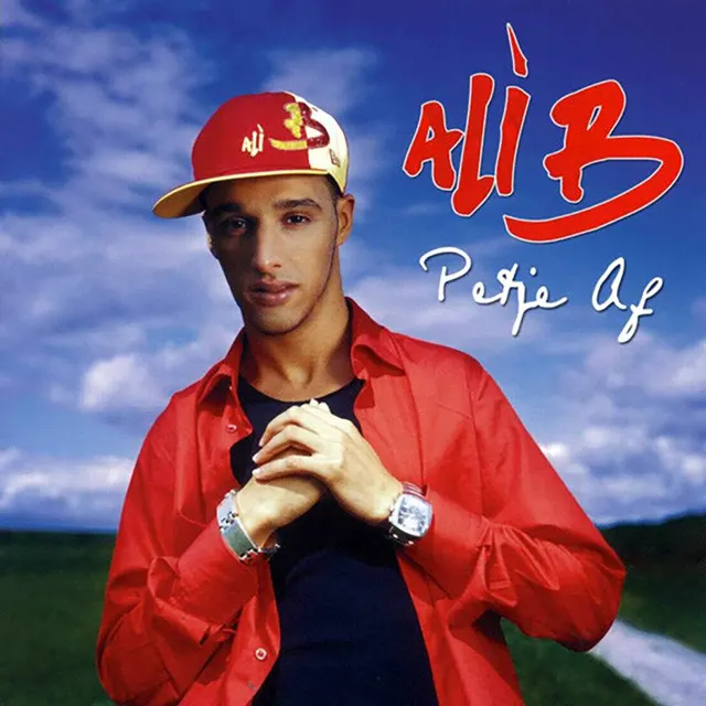 Cover of Dit Gaat Fout