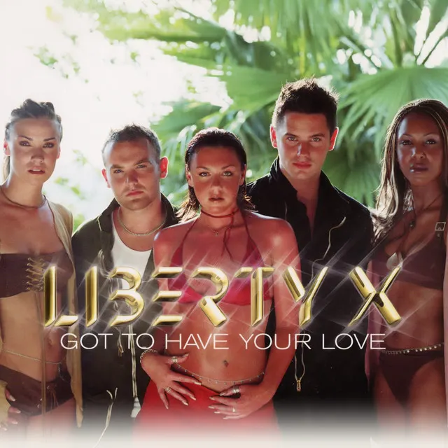 Cover of Got To Have Your Love