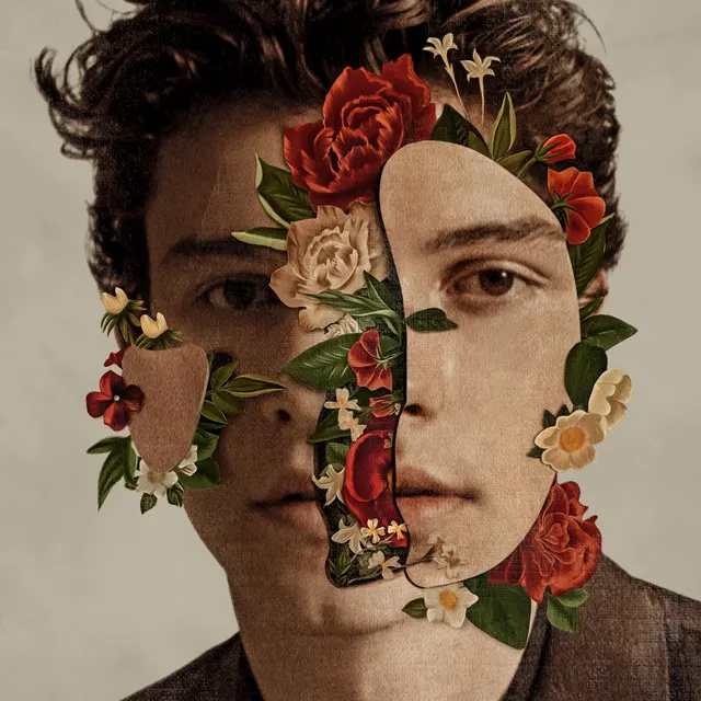 Cover of Lost In Japan