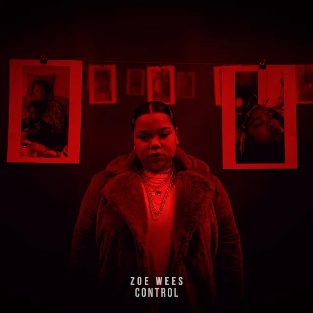 Cover of Control