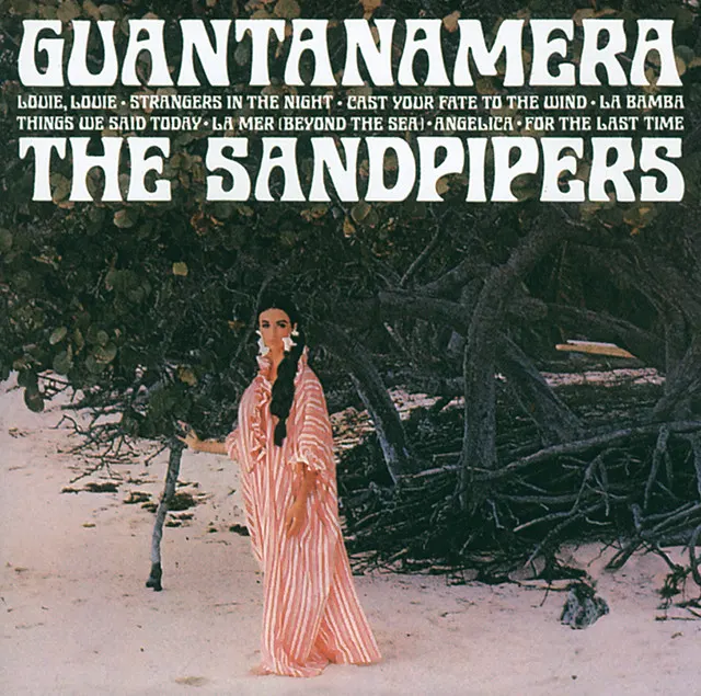 Hoes van Guantanamera