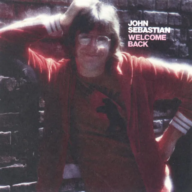 Hoes van Welcome Back (Theme from Welcome Back, Kotter)