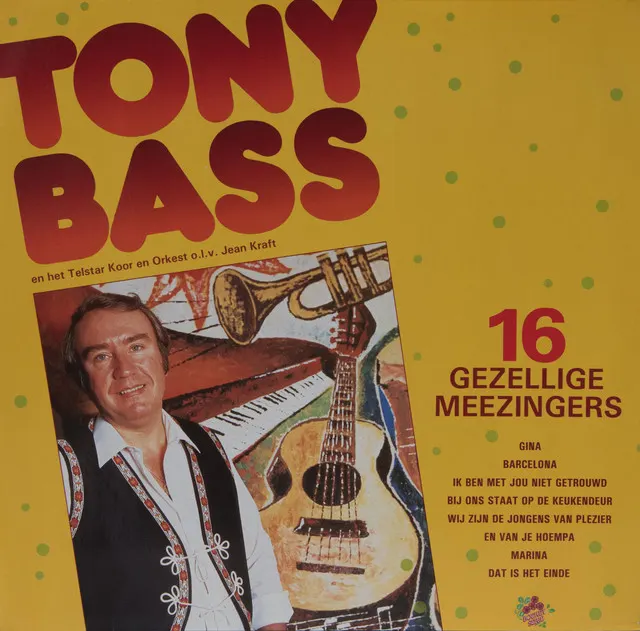 Cover of Wij Zijn De Jongens Van Plezier