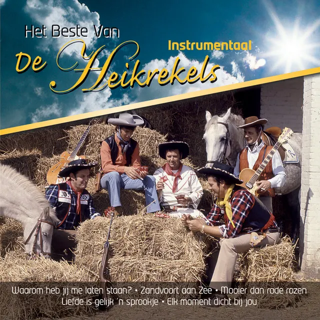 Hoes van Mooier Dan Rode Rozen