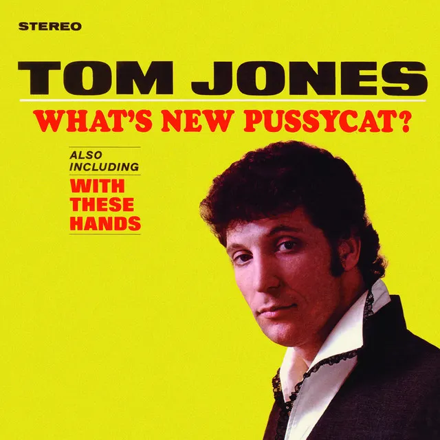 Cover of What's New Pussycat?