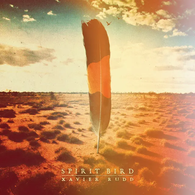 Cover of Follow the sun