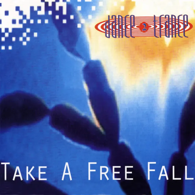 Hoes van Take a Free Fall