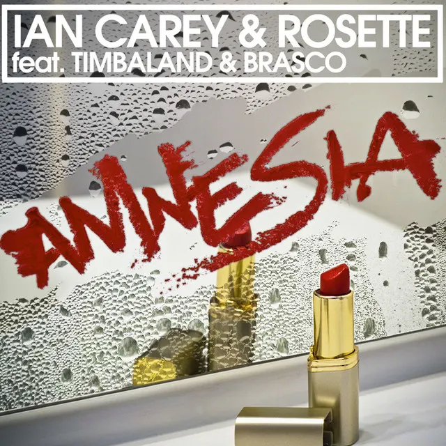 Cover of Amnesia