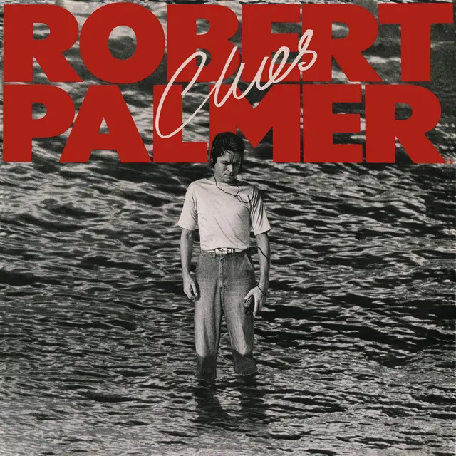 Cover of Looking For Clues