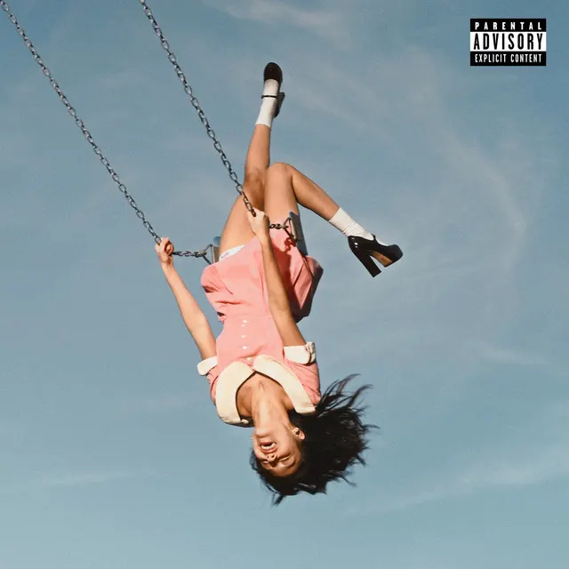Cover of stupid song
