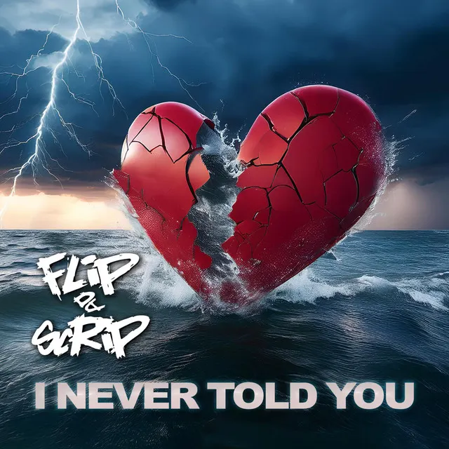 Cover of I never told you