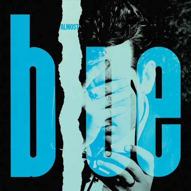 Cover of Good Year For The Roses