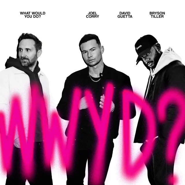 Cover of What Would You Do?
