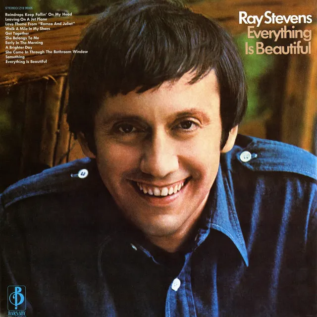 Cover of Everything Is Beautiful