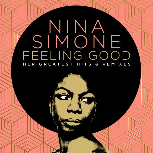 Cover of Ain't Got No / I Got Life