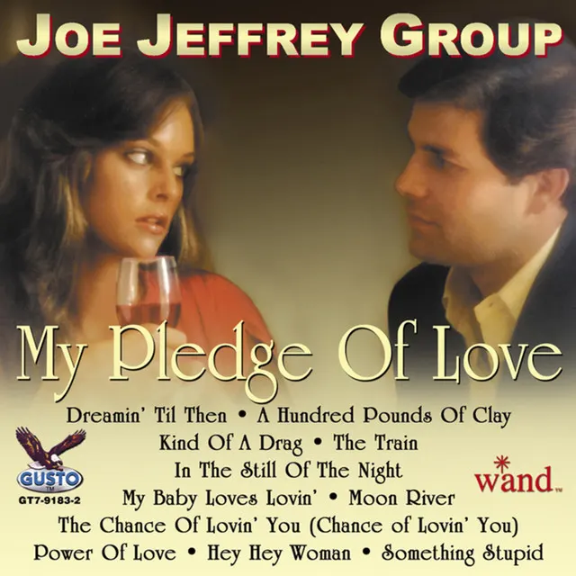 Cover of My Pledge Of Love