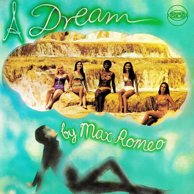 Cover of Wet Dream