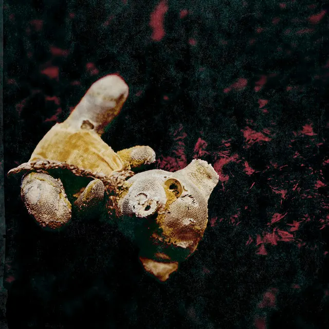 Cover of 17