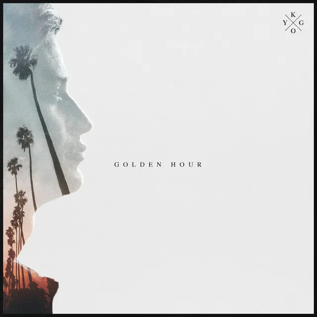 Cover of Lose Somebody