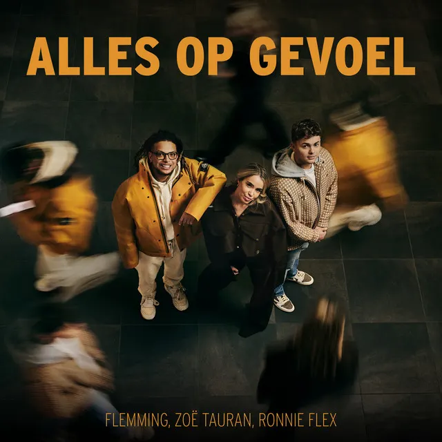 Hoes van Alles Op Gevoel