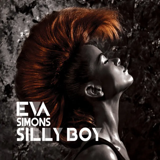 Cover of Silly Boy