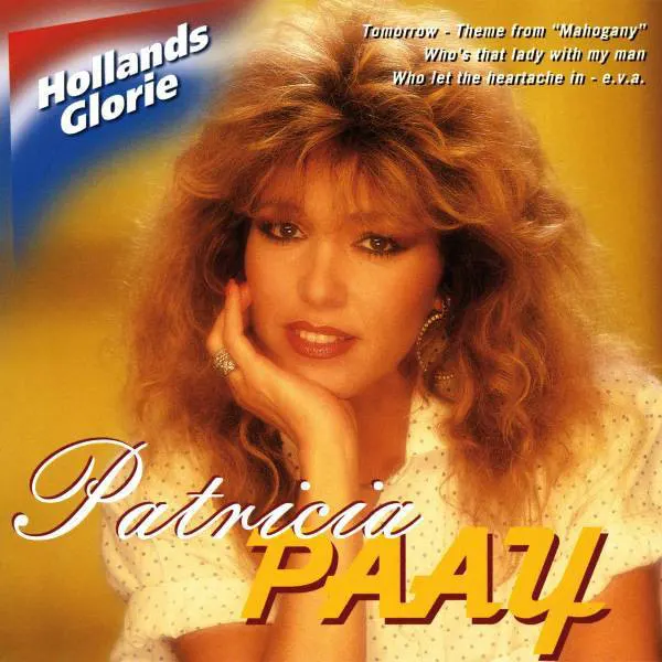 Cover of Who Let The Heartache In