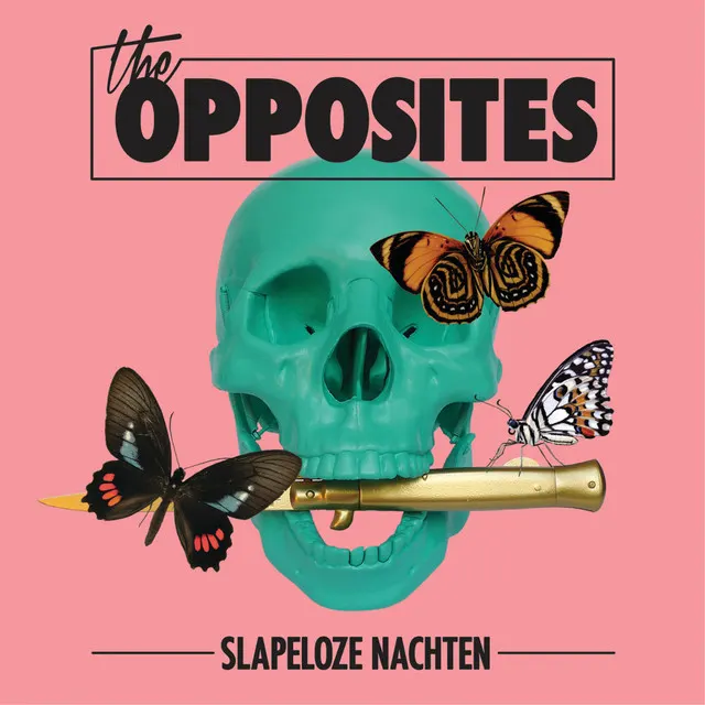 Cover of Slapeloze Nachten
