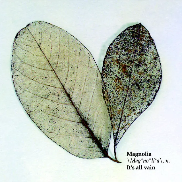 Cover of It’s All Vain