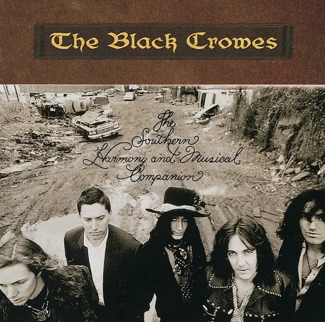 Cover of Hotel Illness