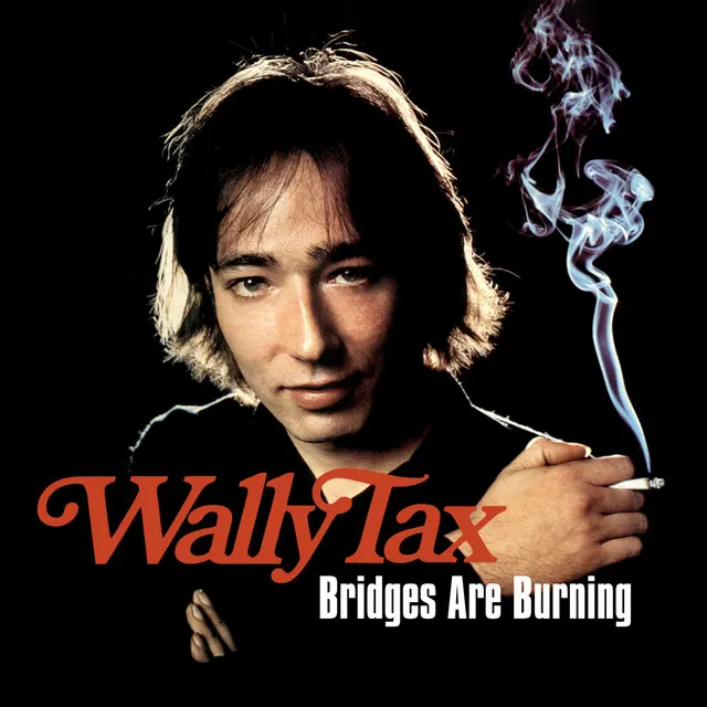 Cover of Bridges Are Burning