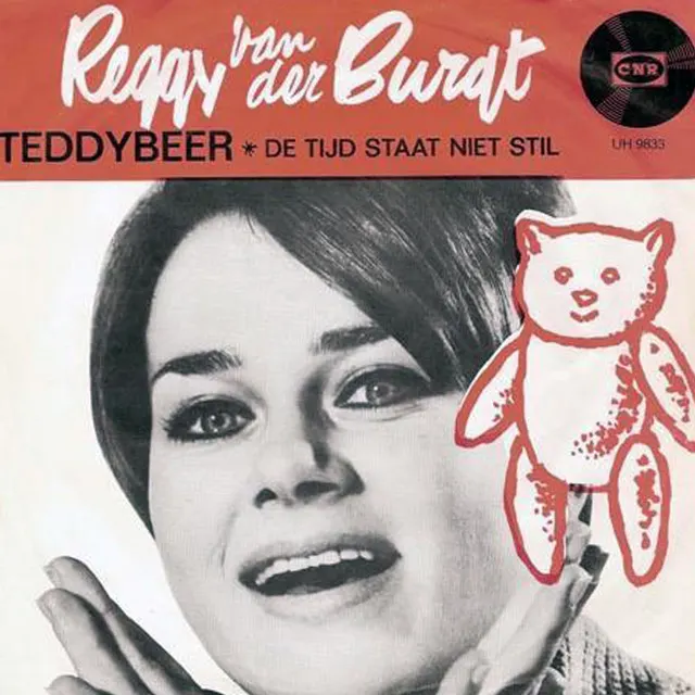 Hoes van Teddybeer