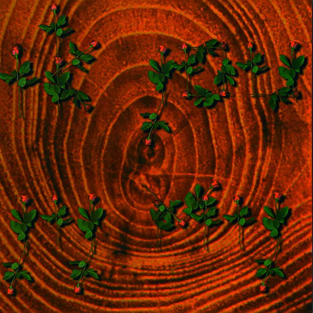 Cover of Dromendief