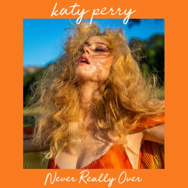 Cover of Never Really Over