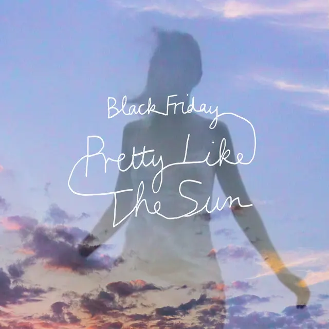 Cover of Black Friday